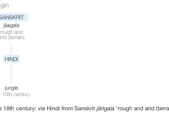Jungle-Origin_medium
